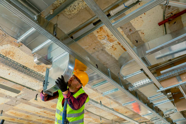 Best HVAC tune-up services  in Wolfe City, TX